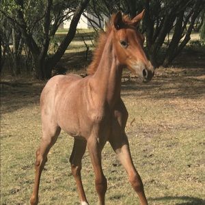 Meet your Posher, Noemi